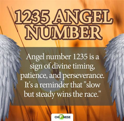 Angel number 1235: Meaning and Symbolism, Twin flame, and Truth